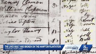 Untold Stories: The Hampton Plantation