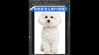 物体和背景一个色，用PS也能轻松抠出来❗ #ps教学 #PS学习 #ps抠图技巧 #PS #抠图教程