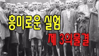 흥미로운 사회실험 제 3의 물결