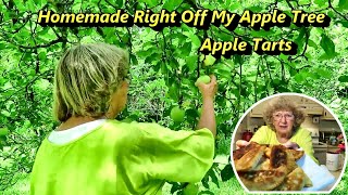 Amazing Homemade Apple Tarts 100 Year Old Recipe