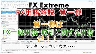 【FX Extreme】解説　FX初級ガイド#003 FX用語解説　その１