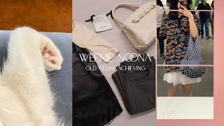 [Daily look] 13살 고양이 집사의 old celine 올드 셀린 아카이빙