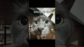 Evil Larry 3AM 😈😈... #trending #funny