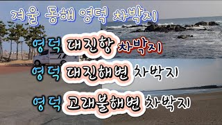 동해 영덕대진항 차박지/영덕 대진해수욕장 차박지/영덕 고래불해수욕장 차박지