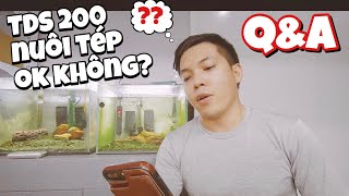 TDS 200 có nuôi tép được không... - Hỏi đáp cùng Shrimp Mart | Q&A #1