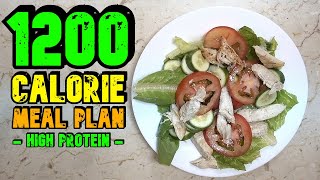 1200 Calorie Meal Plan (High Protein)