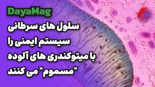 دایامگ - سلول های سرطانی سیستم ایمنی را با میتوکندری های آلوده “مسموم” می کنند