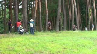 H24 第42回全日本総合馬術大会2012　トレーニング　耐久審査　2年　折原冬弥　桜暁