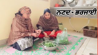 Aaloo Mater ki healthy  recipe Dinner Routine by Pind Punjab de | Punjabi Woman cooking food