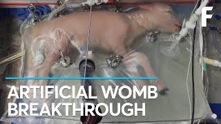Breaking: Scientists Create An Artificial Womb