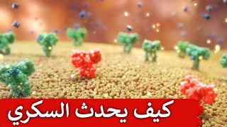 كيف يحدث مرض السكري | توضيح ثلاثي الأبعاد