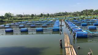 Fish farm in Cambodia