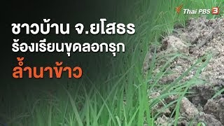 ชาวบ้าน จ.ยโสธร ร้องเรียนขุดลอกรุกล้ำนาข้าว (22 มิ.ย. 63)