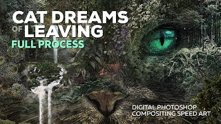 Making of Cat Dreams of Leaving Digital Fine Art