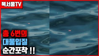 신비의 섬 폭발적인 대물들의 움직임! 1부 (낚시대박살주의)#낚시