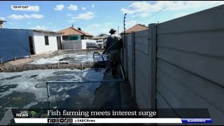 Fish farming gains popularity