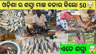 Fish Market Odisha | ଓଡ଼ିଶା ର ଶସ୍ତା ମାଛ ବଜାର