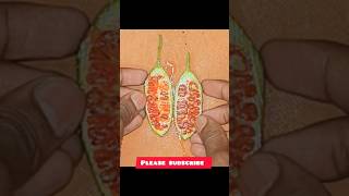 #তেলাকচু ফল কাটিং#How to cutting Coccinia grandis#Telakachu cutting video#shortsvideo #viralvideo-41