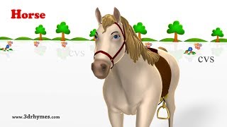 Learn Animals Song - 3D Animation Animals Video for Kids