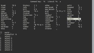 gnu screen basic demo