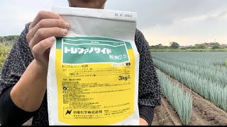 雑草対策で除草剤を散布してたらショッキングなことが次々発生。。。