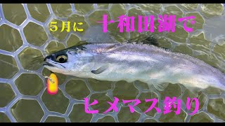 ヒメマス釣りへ行ってきた  -2019.5月上旬 十和田湖-