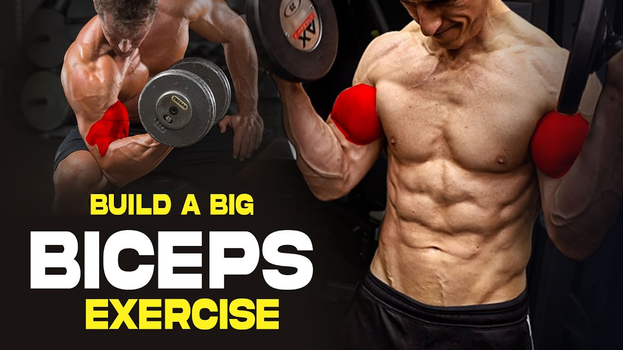 Most Effective Biceps Exercise Youtube