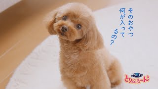 グラン・デリ とりぷる～んTVCM　「中身は？篇」15秒