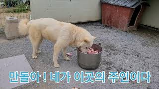 간식 잘 먹는다 ! . 탄이아빠 오셨군요 !