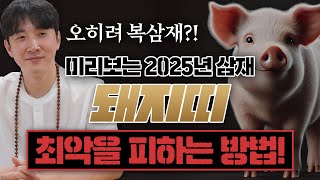 미리 보는 2025년 삼재띠 돼지띠 운세! / '이것'만 조심하면 복삼재 됩니다! / 최악을 피하는 방법!