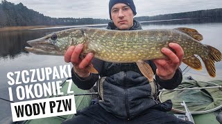 Grudniowy spinning 2019 |Szczupaki na Dam Microflex 2-10gr #13