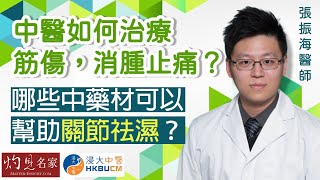 【字幕】張振海醫師：中醫如何治療筋傷，消腫止痛？哪些中藥材可以幫助關節祛濕？《浸大中醫在線》（2023-05-07）（影片由香港浸會大學中醫藥學院臨床部提供）