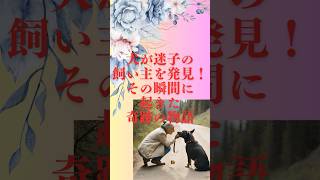 犬が迷子の飼い主を発見！その瞬間に起きた奇跡の物語 #癒し #animals #dog #かわいい #cute #snow