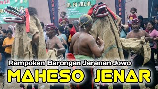 Rampokan Barongan Jaranan Jowo MAHESO JENAR Live Branggahan Ngadiluwih Kediri - SAXENA AUDIO