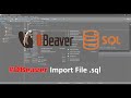 DBeaver Import SQL File