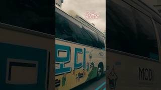 꽃집극장 🎥 화환배달이야기 🚍 좌천동 봉생병원장례식장 근조화환 부산 동구 꽃배달 💐 #부산장례식조화