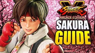 SFV - SAKURA  Guide - All You Need To Know!