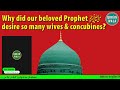 wives and concubines of the prophet पैगंबर की पत्नियाँ और रखैलें