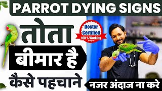 Tota Bimar Hai Kaise Pahchane | तोता बीमार है या स्वस्थ कैसे पहचानें How to Know Our Parrot is Sick