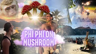 PHI PHI ON MUSHROOM (BOXING, MONKEYS,5 GOOD THINGS)