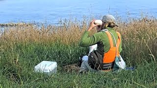 Early Morning Egg Inspection at the #RoyalCam Nest | January 22, 2025