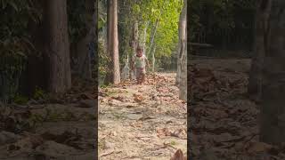 जंगल में बच्चा Child In The Forest #shorts #baby #viral