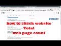 How to count website Total web pages Tutorial - Digital Rakesh