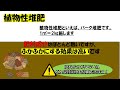 【0から農業塾】土作りの基本　 初心者向け ～堆肥について～