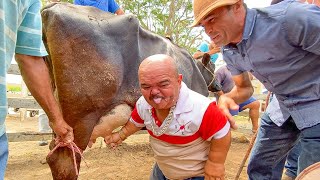 PILILIU MAMA NOS PEITOS DA VACA NA FEIRA DO GADO EM CAMPINA GRANDE