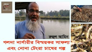 রুহুল আমিনের গলদা নার্সারীর বিস্ময়কর সাফল্য । নোনা টেংরা চাষের গল্প ।