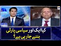 Another political party going to be formed? - Chaudhry Sarwar - Naya Pakistan - Geo News