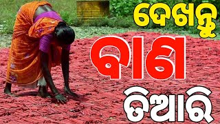 ଦେଖନ୍ତୁ କେମିତି ତିଆରି ହୁଏ ବାଣ||Factory Mein Patakhe Kaise Banate Hain||cracker making