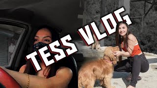 Mxtube.net :: Tess pachuau Mp4 3GP Video & Mp3 Download unlimited ...