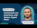 Command Line Chat Interface for Solace Agent Mesh